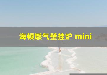 海顿燃气壁挂炉 mini